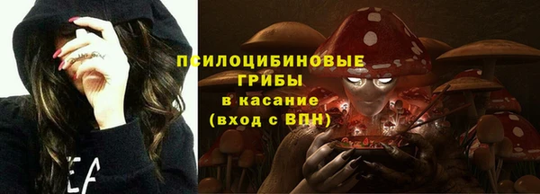 мет Аркадак