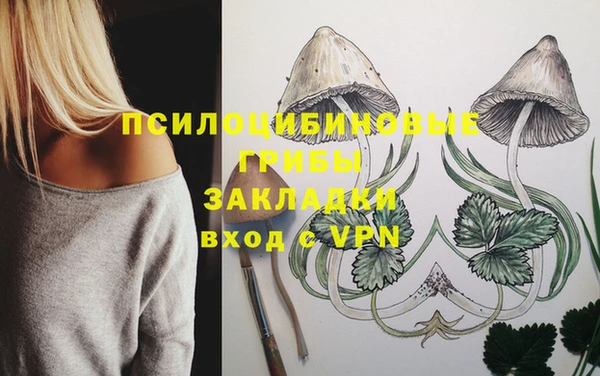 мет Аркадак