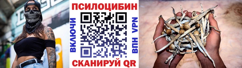 купить наркотики сайты  Обоянь  Псилоцибиновые грибы Magic Shrooms 